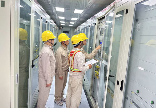 国网安岳县供电公司 党建带团建赋能 人工搬运服务助力重大项目建设